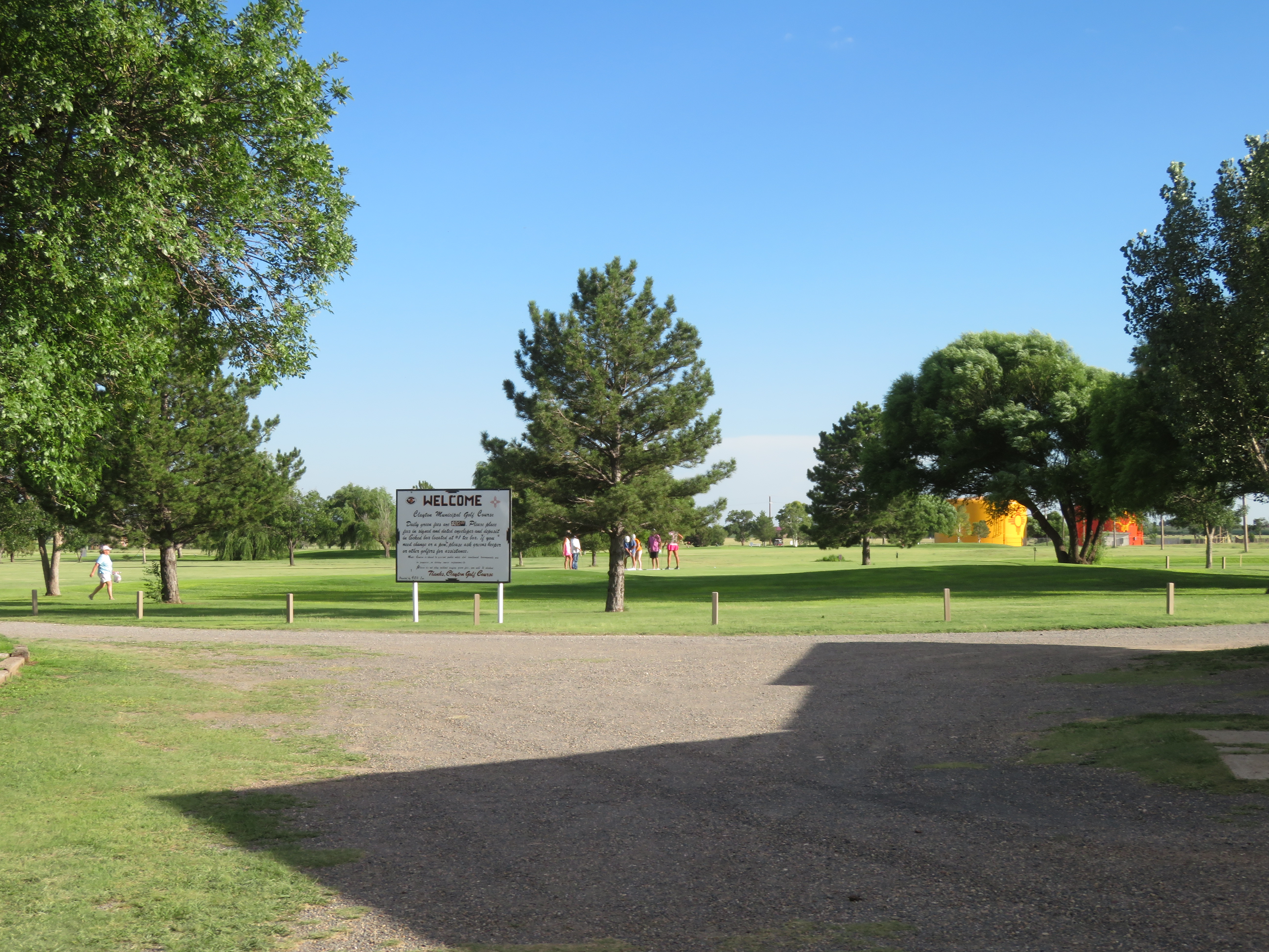 Image of golf ball on tee on grass.